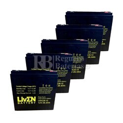 5 Bateras LVDC26-12 12V 26Ah, Solucin ideal para movilidad elctrica
