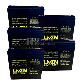 5 Bateras LVDC26-12 Ciclo Profundo, Energa estable para tu moto elctrica