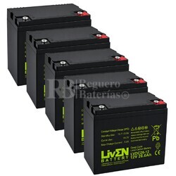 5 Bater�as LVDC26-12 Ciclo Profundo, Rendimiento constante en motos el�ctricas