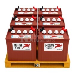 6 Bateras 8 Voltios 189 Amperios Trojan T-875