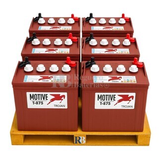 6 Bateras 8 Voltios 189 Amperios Trojan T-875