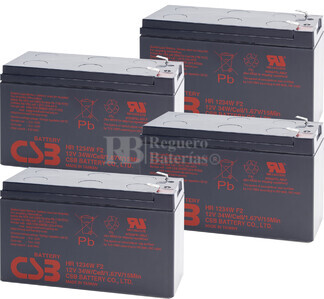 Bateras de sustitucin para SAI CLARY CORPORATION 1000 ON GUARD  4xHR1234W