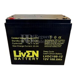 Batera 12 voltios 100 amperios LVDC100-12 Ciclo Profundo