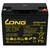 Bater�a 12 Voltios 22 Amperios Long WP22-12NE