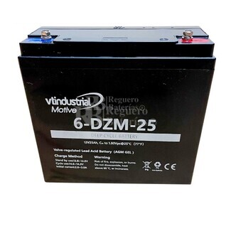 Batera 12 voltios 25 amperios Gel Agm Ciclo Profundo 6dzm25