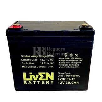Batera 12 voltios 39 amperios LVDC39-12 Ciclo Profundo
