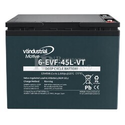 Bater�a 6-EVF12-45-L | 12 Voltios 45 Amperios Ciclo Profundo