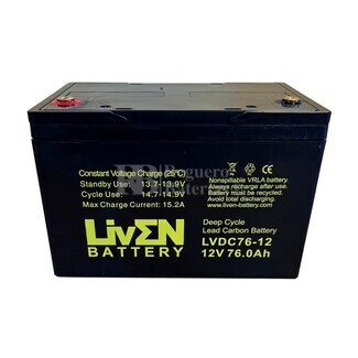 Batera 12 voltios 76 amperios LVDC76-12 Ciclo Profundo