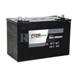Batería 12V 107Ah C20 FQS12-115AGMC AGM Carbono