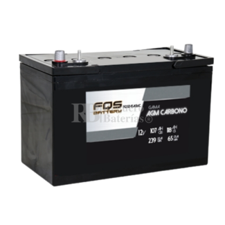 Batera 12V 107Ah C20 FQS12-115AGMC AGM Carbono