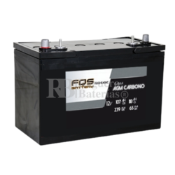 Batería 12V 148Ah C20 FQS12-148AGMC AGM Carbono