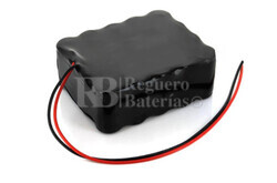 Batera tijeras podar Pellenc 24 Voltios 5 Amperios