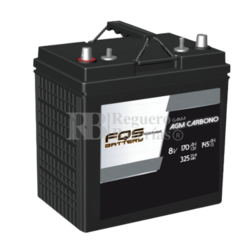 Batería 8V 170Ah C20 FQS8-170AGMC AGM Carbono