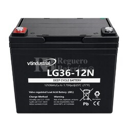Bateria LG36-12N | GEL 12 Voltios 36 Amperios VT