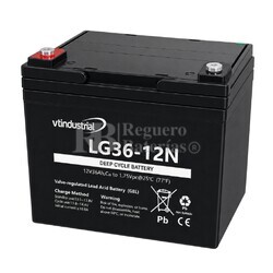 Bateria LG36-12N | GEL 12 Voltios 36 Amperios VT