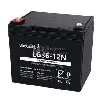 Bateria LG36-12N | GEL 12 Voltios 36 Amperios VT