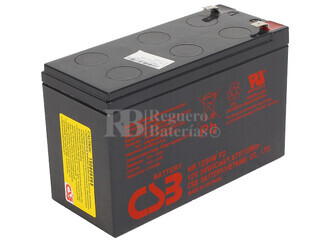 Batera de sustitucin para SAI LIEBERT PSP350MT-120