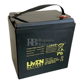 Batera Fregadora 6 Voltios 268 Amperios LVDC268-6 Gel