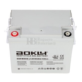 Batera Gel 12 Voltios 55 Amperios Aokly 6GFM55G