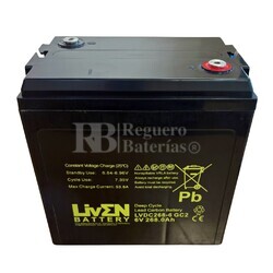 Batera Gel 6 Voltios 268 Amperios Ciclo Profundo LVDC268-6 Liven