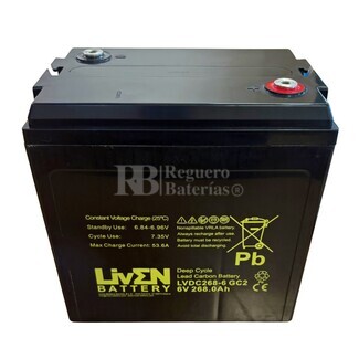 Batera Gel 6 Voltios 268 Amperios Ciclo Profundo LVDC268-6 Liven
