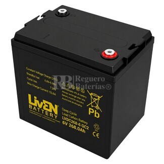 Bater�a Gel Buggy 6 Voltios 268 Amperios Ciclo Profundo LVDC268-6