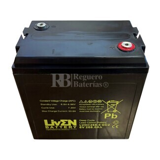 Batera Gel Buggy 6 Voltios 268 Amperios Ciclo Profundo LVDC268-6