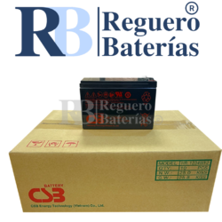 Bateria HR1234WF2 12V 9A Caja 10U