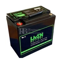 Batera Litio 12 Voltios 55 Amperios LiFePO4 RBIF55-12 