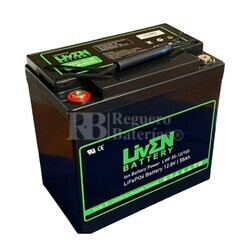Batería Litio 12 Voltios 55 Amperios LiFePO4 RBIF55-12 