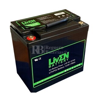 Batera Litio 12 Voltios 55 Amperios LiFePO4 RBIF55-12 