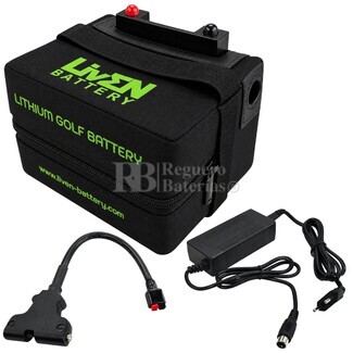 Bater�a Litio Carro de Golf 12 Voltios 22 Amperios LVIF22-12G