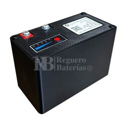 Batera Litio 12 Voltios 10 Amperios indicador carga, Conexin M5, Samsung 18650-25R 