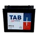 Batera Moto YTX12-BS AGM 12 Voltios 10 Amperios TAB