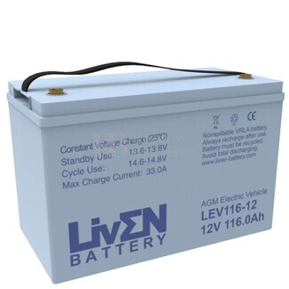 Batería Movilidad 12 Voltios 116 Amperios AGM LEV116-12