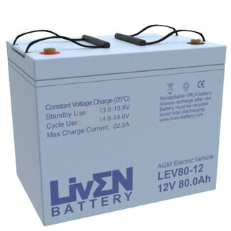 Batera Movilidad 12 Voltios 80 Amperios AGM LEV80-12