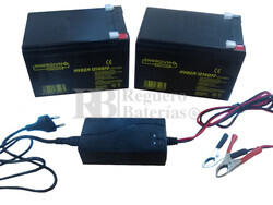 Kit 24 Voltios 14 Amperios MVDZM12140 y Cargador 24V para Scooter Elctricos