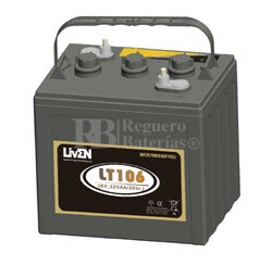 Batería SemiTraccion en 6 Voltios 225 Amperios Liven Battery