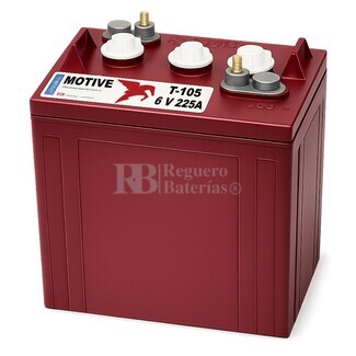 Bateria para Buggy 6 Voltios 225 Amperios Trojan T105
