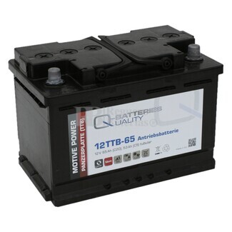 Batera Qbatteries 12TTB-65 de Traccin, 6V, 65Ah