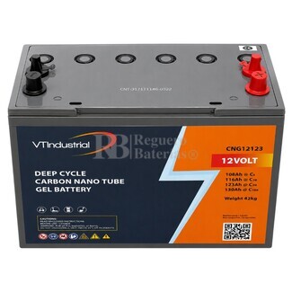 Bater�a GEL 12 Voltios 123 Amperios  | VT CNG12123