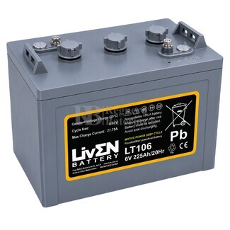 Bater�a para elevador 6 Voltios 225 Amperios | LT106 Liven Battery
