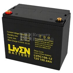 Bater�a transpaleta 12 Voltios 100 Amperios Ciclo Profundo LVDC100-12
