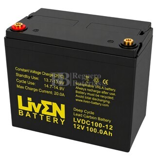 Bater�a transpaleta 12 Voltios 100 Amperios Ciclo Profundo LVDC100-12