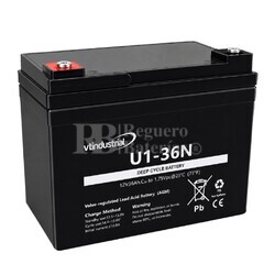 Bater�a U1-36N | AGM 12 Voltios 36 Amperios VT