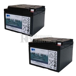 Bateras 12V 22A Gel Dryfit GF12022YF 