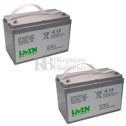 Bateras de Litio 12 Voltios 100 Amperios LVF100-12