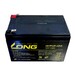 Bateras para patinete Roan 350W 12 Voltios 12 Amperios WP12-12 Long
