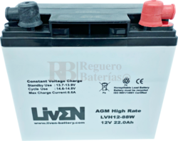 2 Bateras Scooter 12 Voltios 22 Amperios LVH12-88 Liven Battery