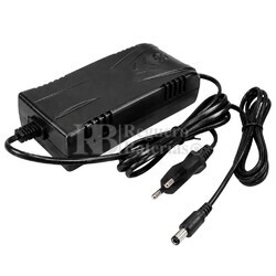 Cargador bater�as carros de golf conector RCA 12V 4A